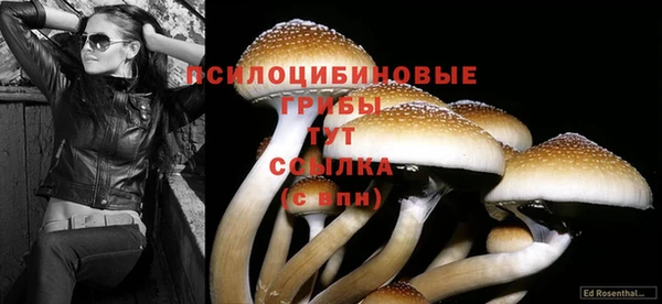 кокаин перу Гусев