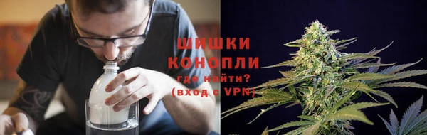 спайс Дмитриев