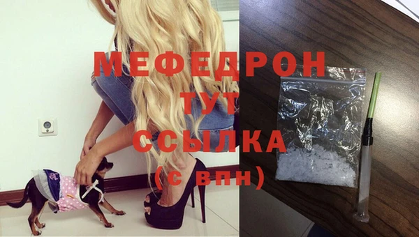спайс Дмитриев