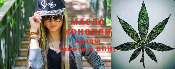 спайс Дмитриев