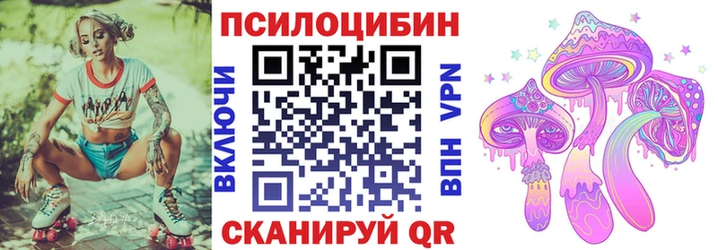 Купить закладки  Димитровград  Галлюциногенные грибы Psilocybe 